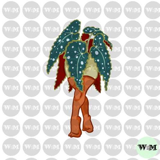 Plant Lady - Begonia