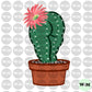 Plant Lady - Cactushy