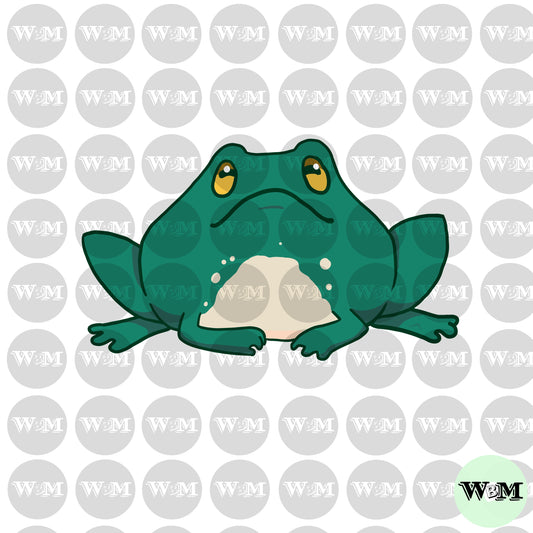 Frog - Green Boy