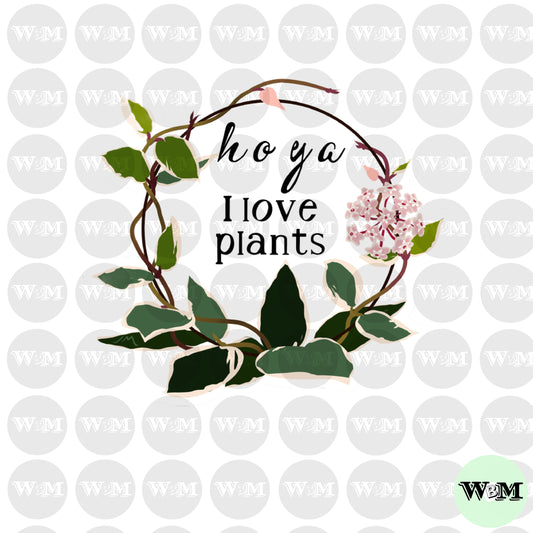 Hoya I love plants