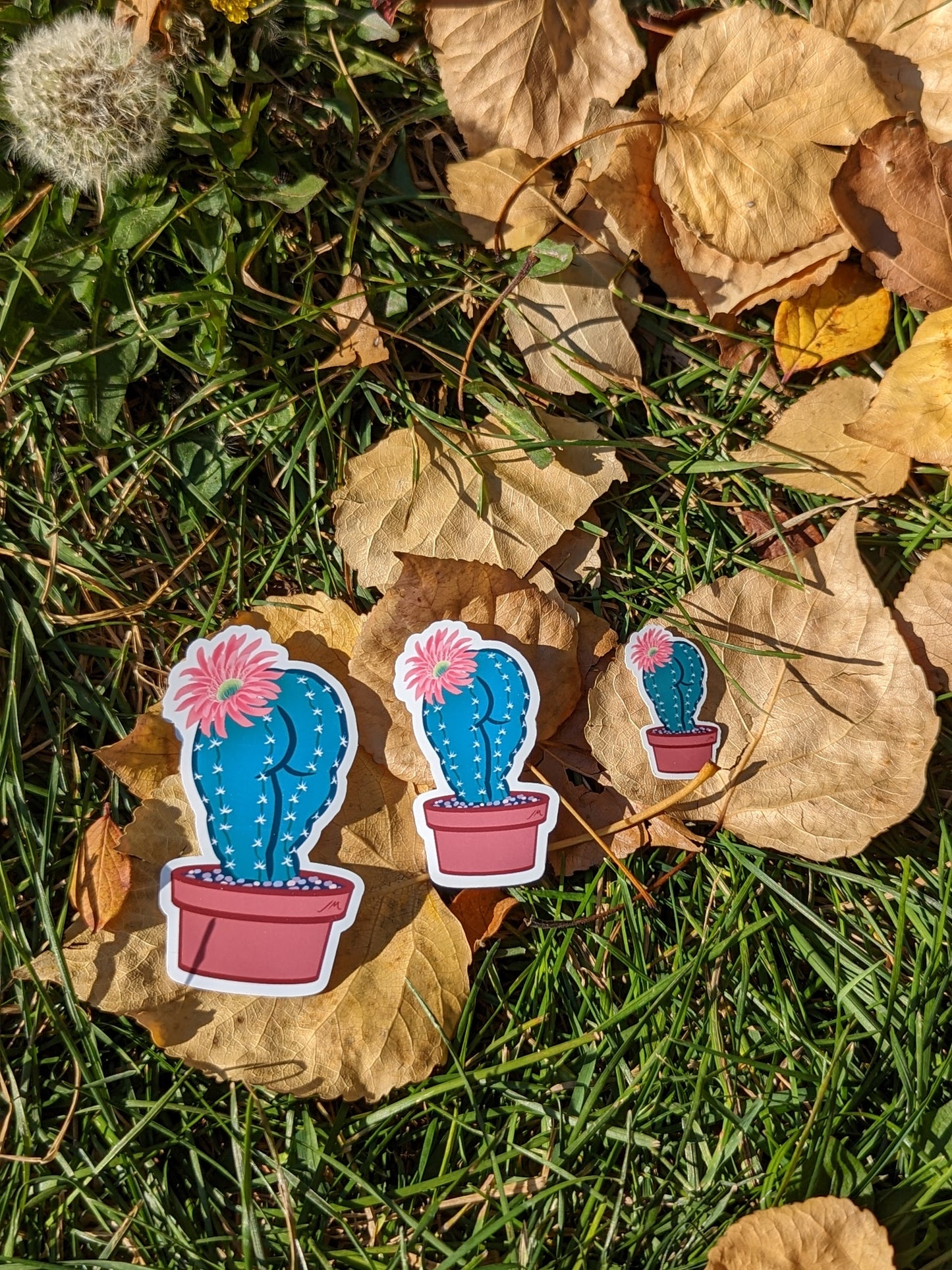 Plant Lady - Cactushy