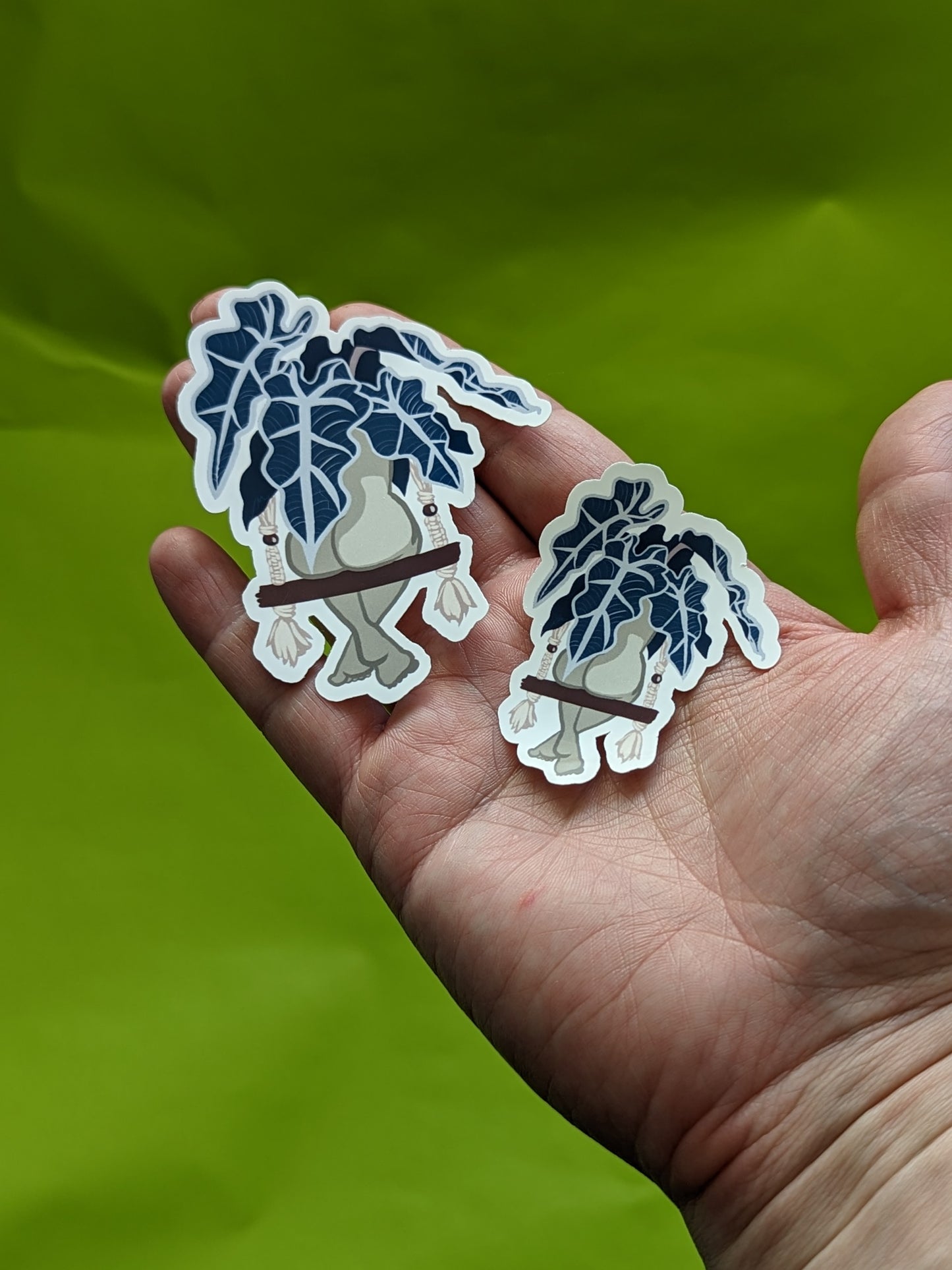 Plant Lady - Alocasia