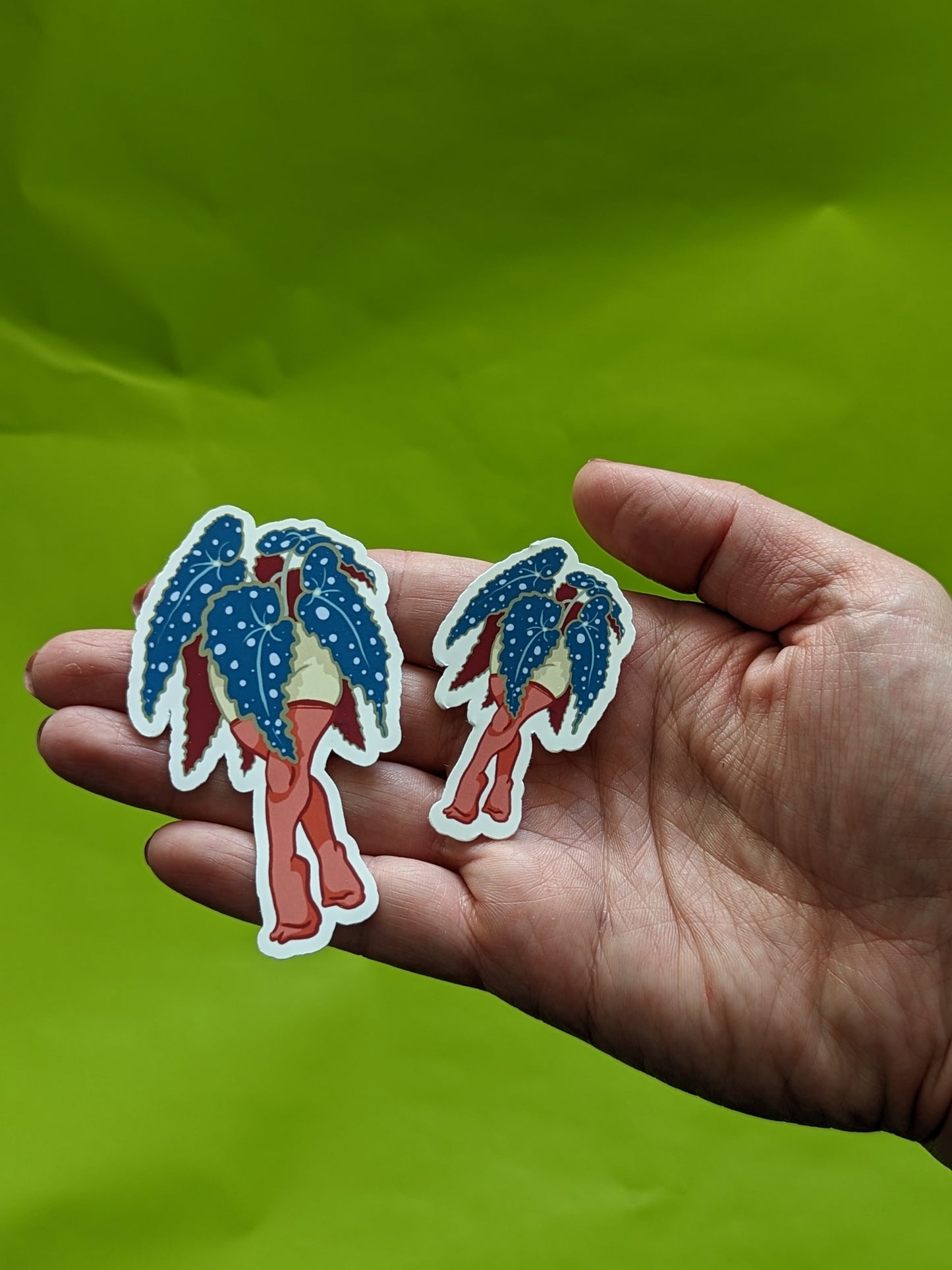 Plant Lady - Begonia