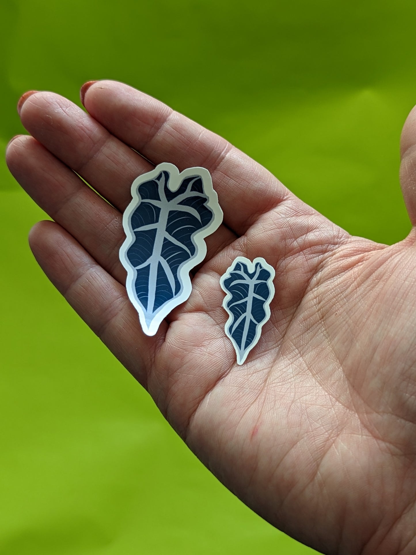 Plant Lady - Alocasia Leaves