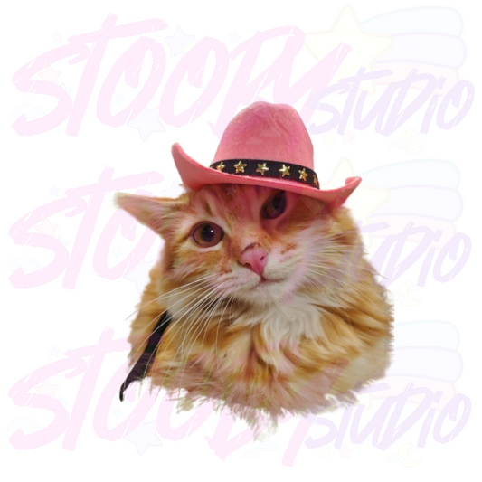 Meowdy Sticker