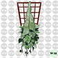 Plant Lady - Satin Pothos